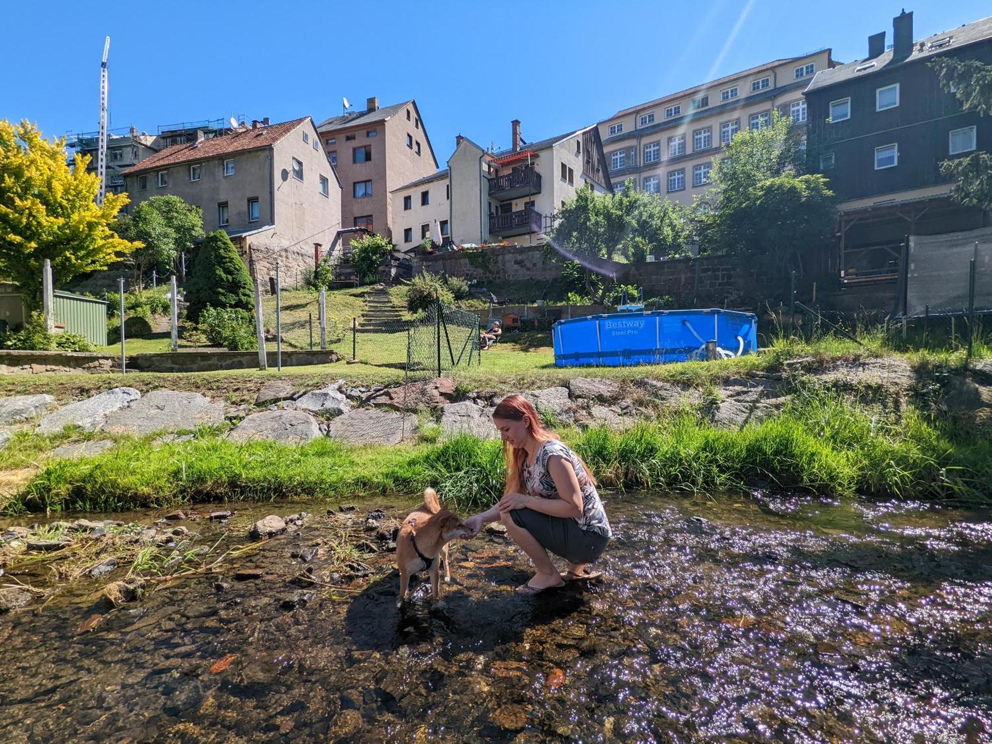F1 - Urlaubsmagie - Helle Wohnung Mit Sauna & Pool & Whirlpool Sebnitz Extérieur photo