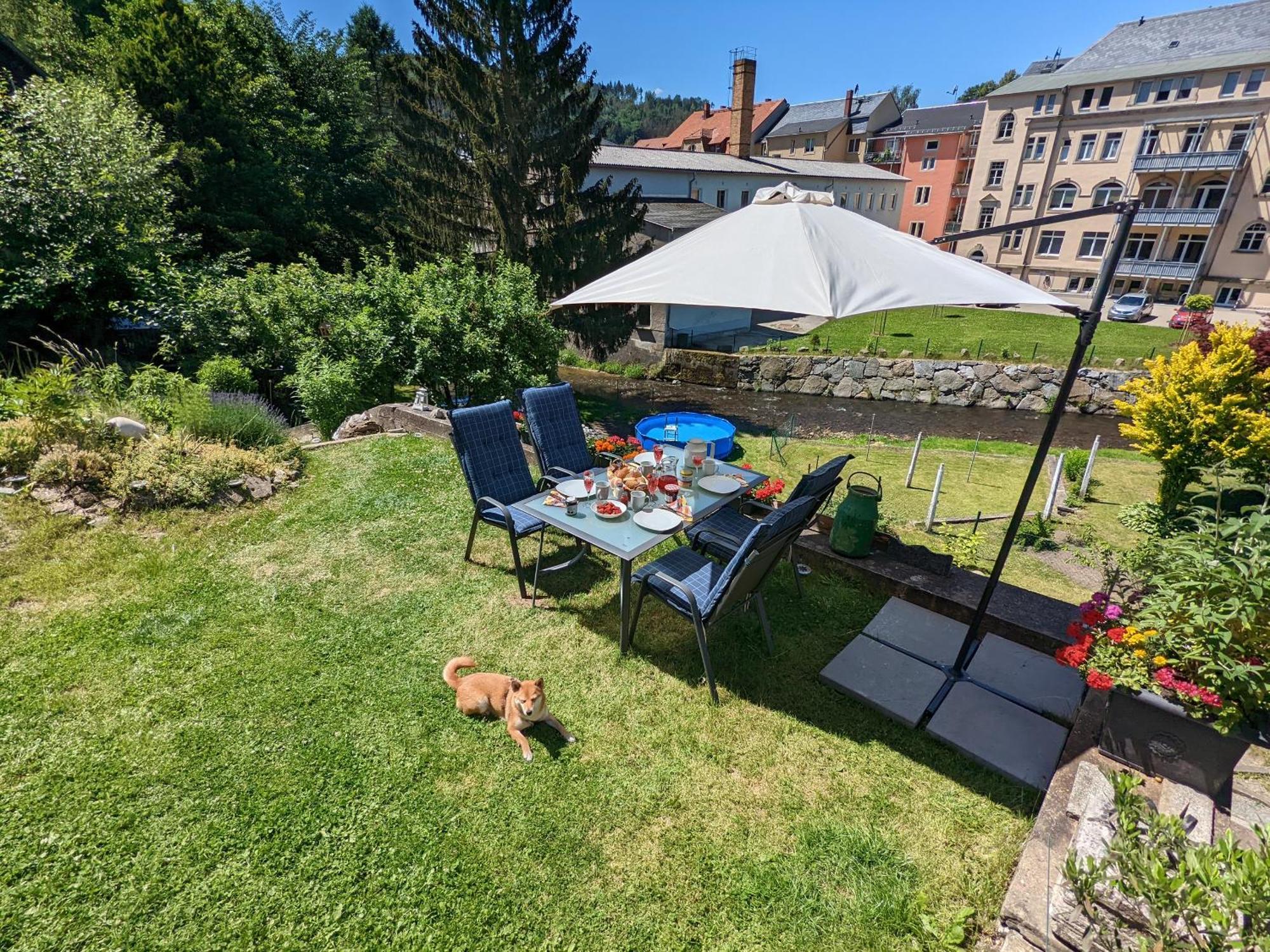 F1 - Urlaubsmagie - Helle Wohnung Mit Sauna & Pool & Whirlpool Sebnitz Extérieur photo