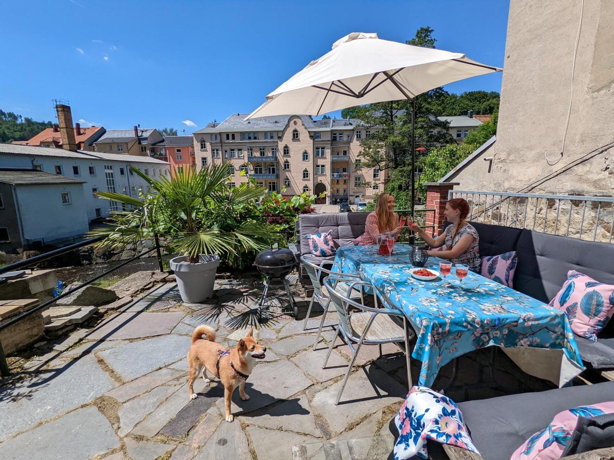 F1 - Urlaubsmagie - Helle Wohnung Mit Sauna & Pool & Whirlpool Sebnitz Extérieur photo