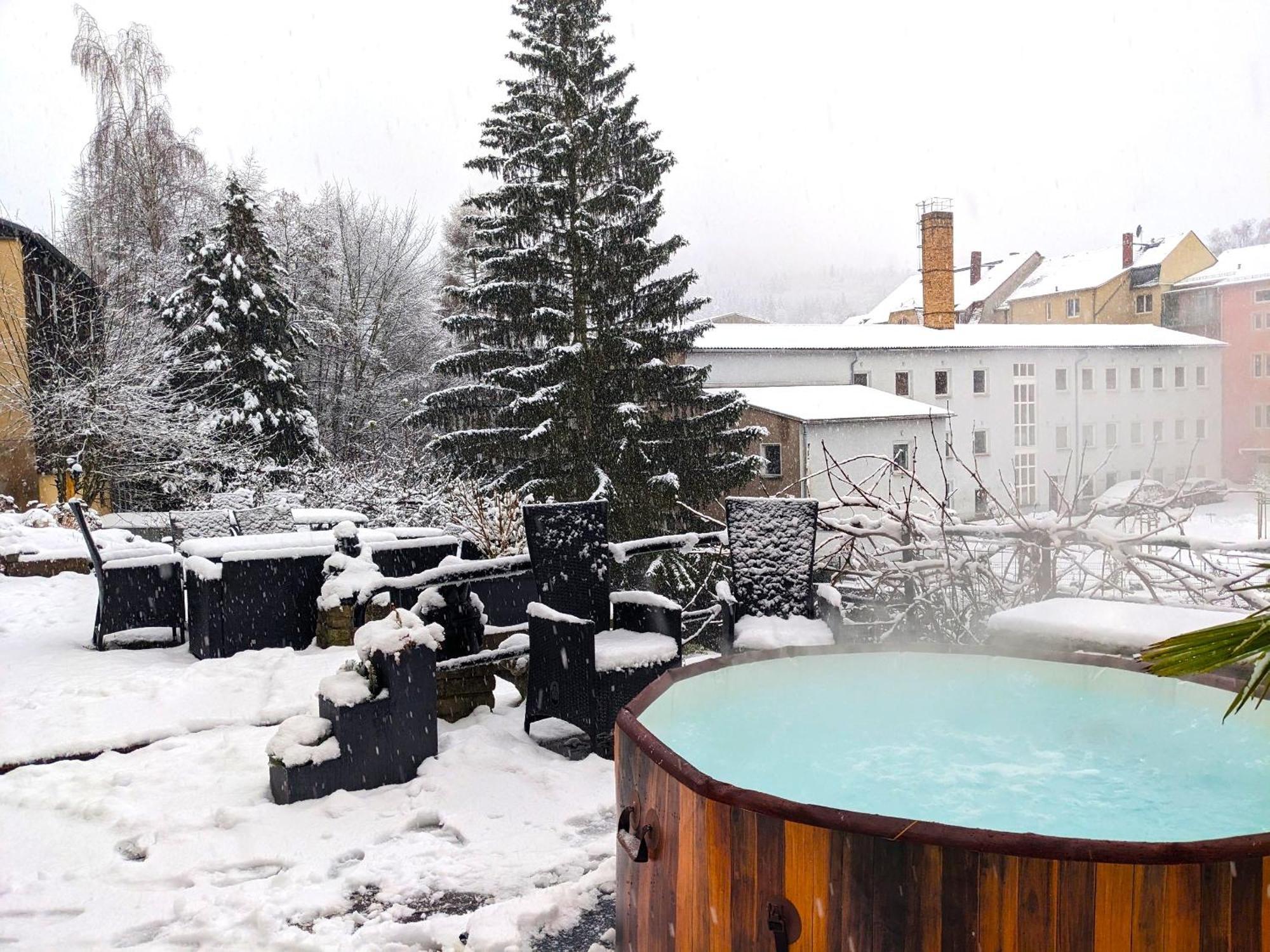 F1 - Urlaubsmagie - Helle Wohnung Mit Sauna & Pool & Whirlpool Sebnitz Extérieur photo