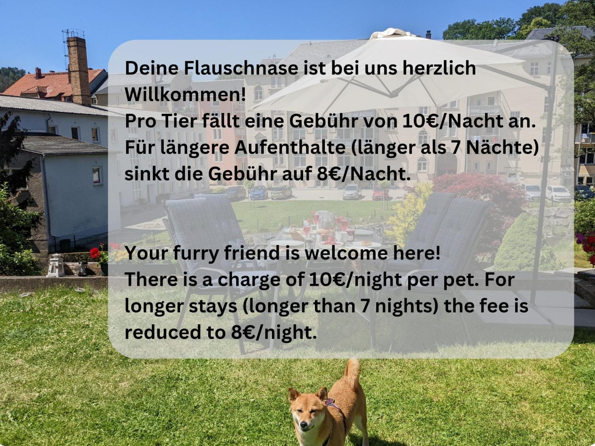 F1 - Urlaubsmagie - Helle Wohnung Mit Sauna & Pool & Whirlpool Sebnitz Extérieur photo